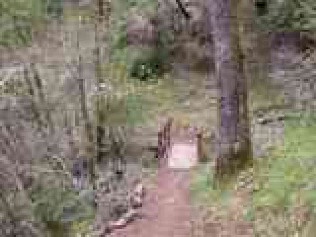 bridge