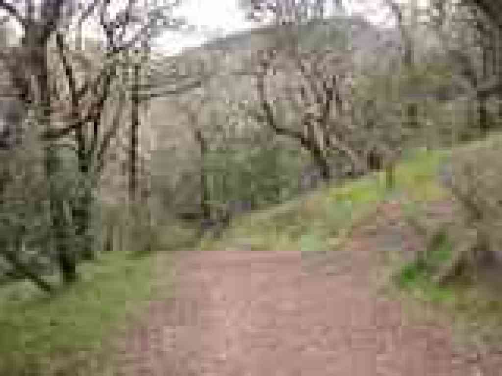 Junction
