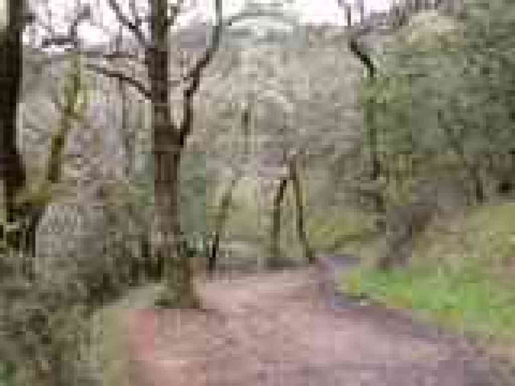 The fire road descends
