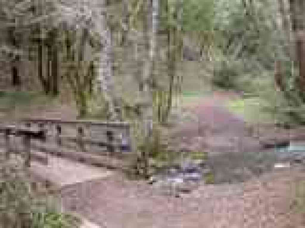 bridge