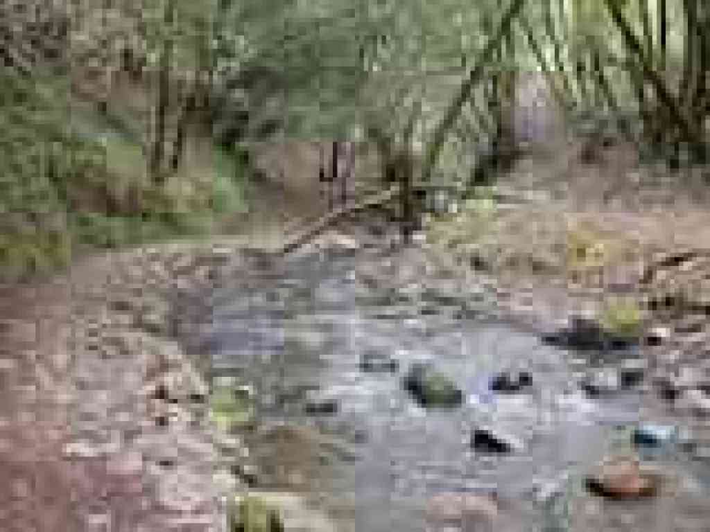 Cascade Falls Trail
