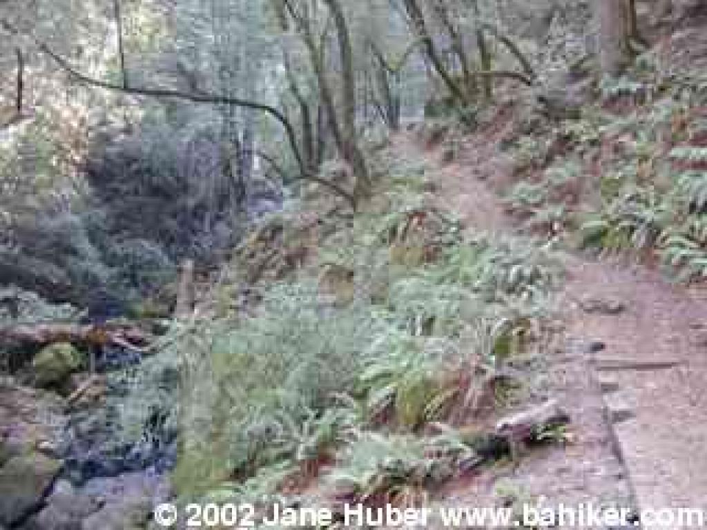 Cataract Trail