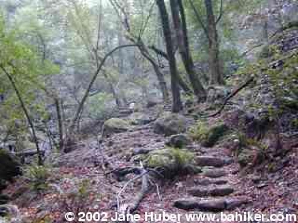 Cataract Trail