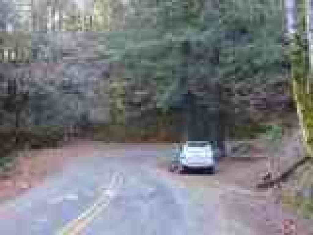 Trailhead