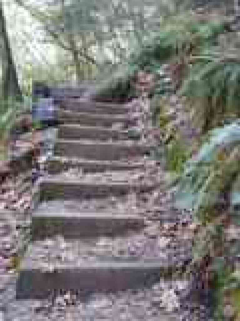 Steps