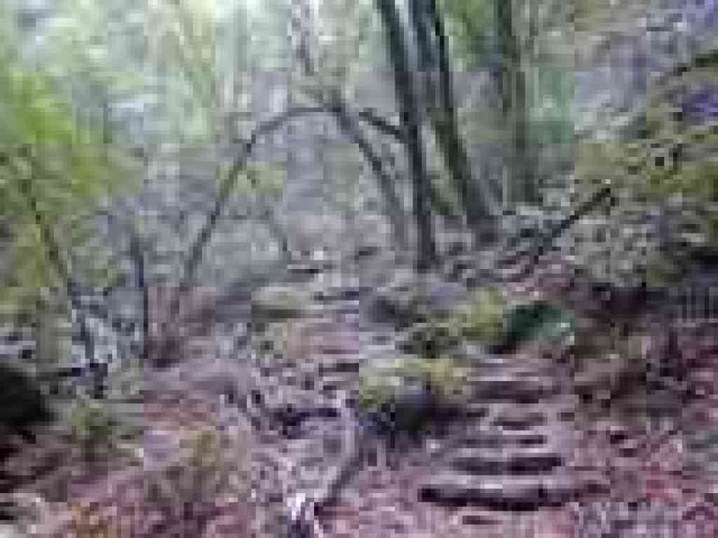 Steps