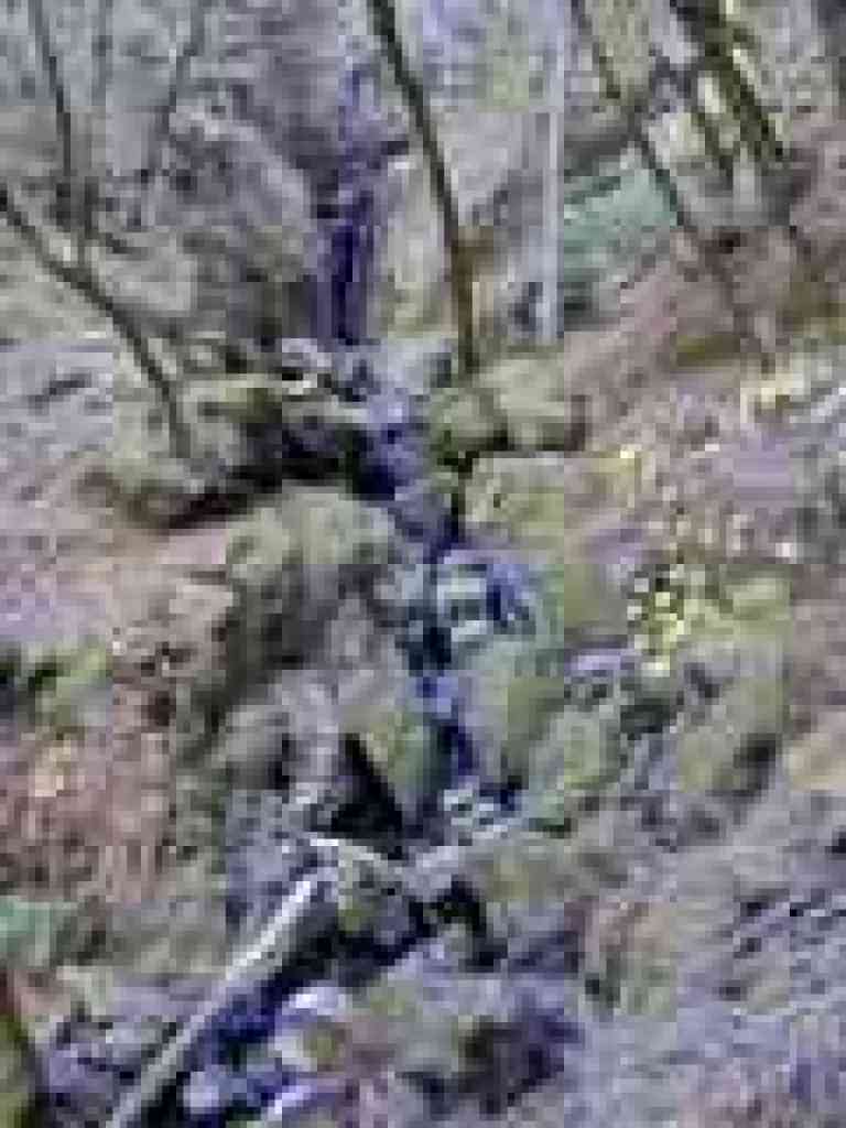 Falls