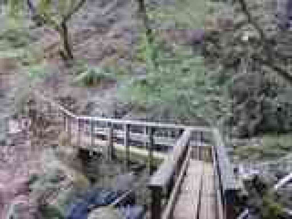 Bridge
