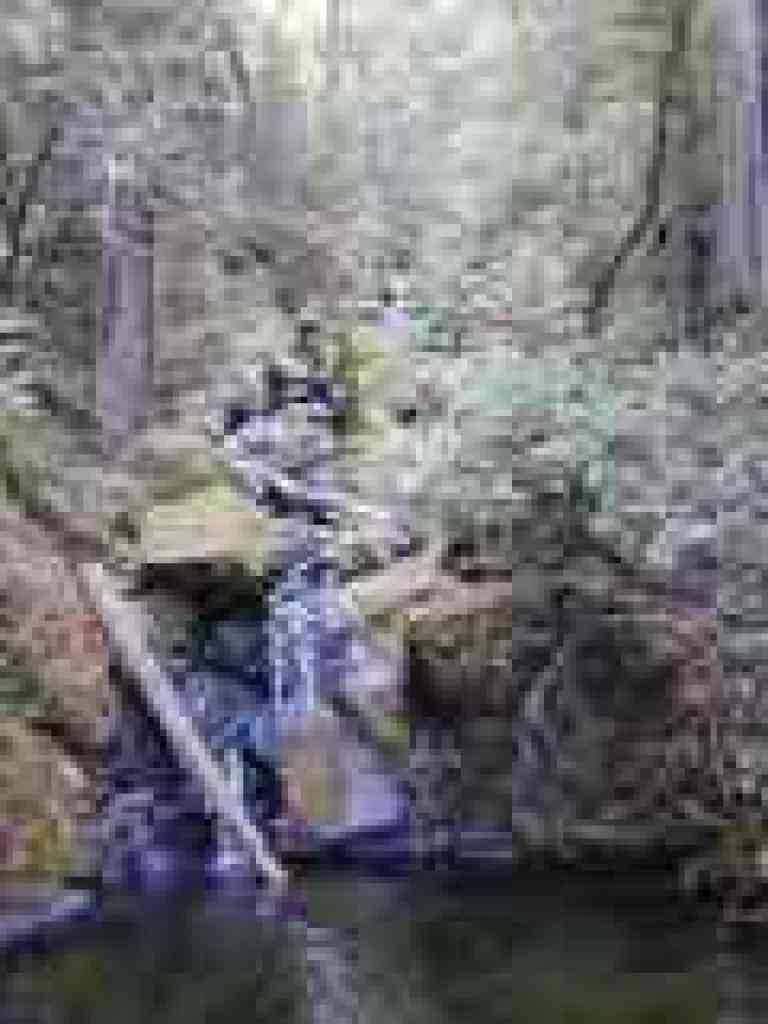 Falls