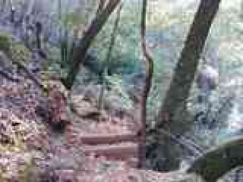 Cataract Trail