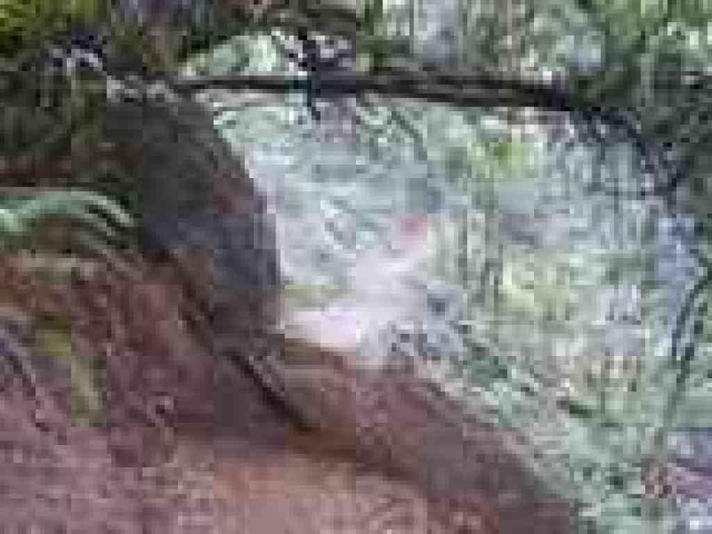 Notch