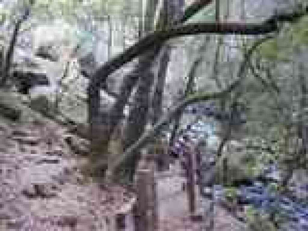 Near the final falls