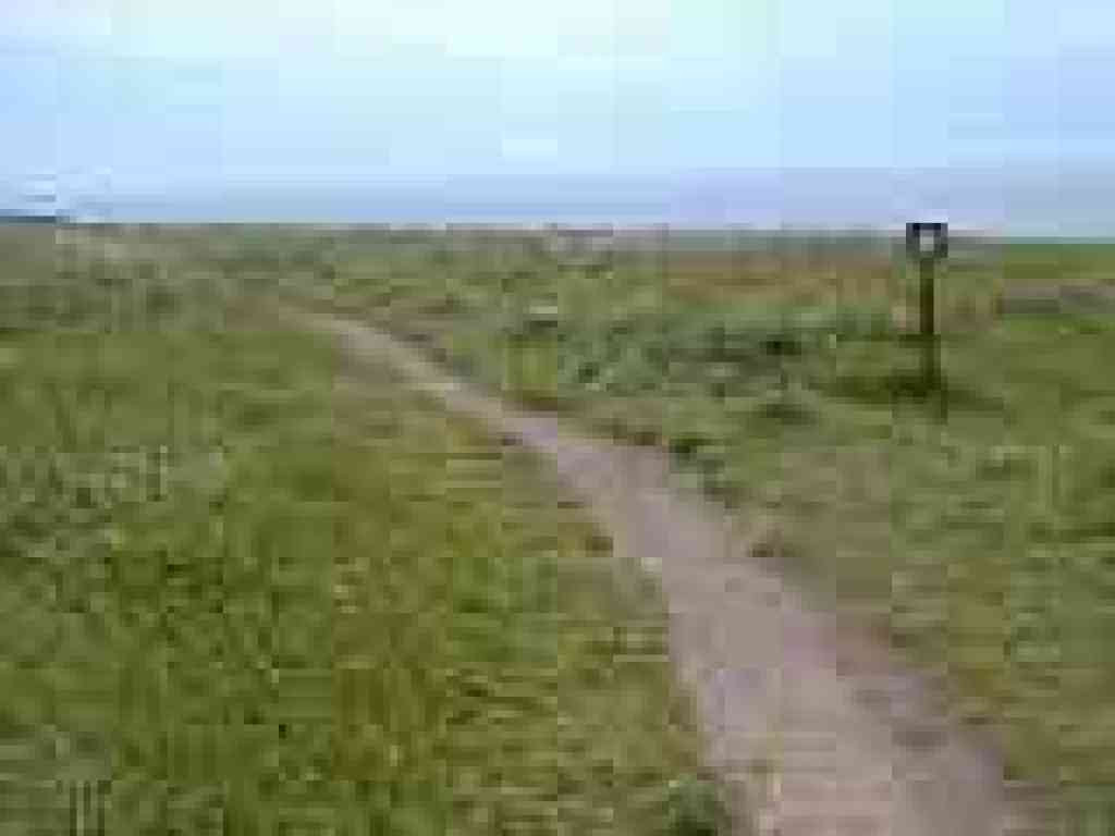 An arrow points the way