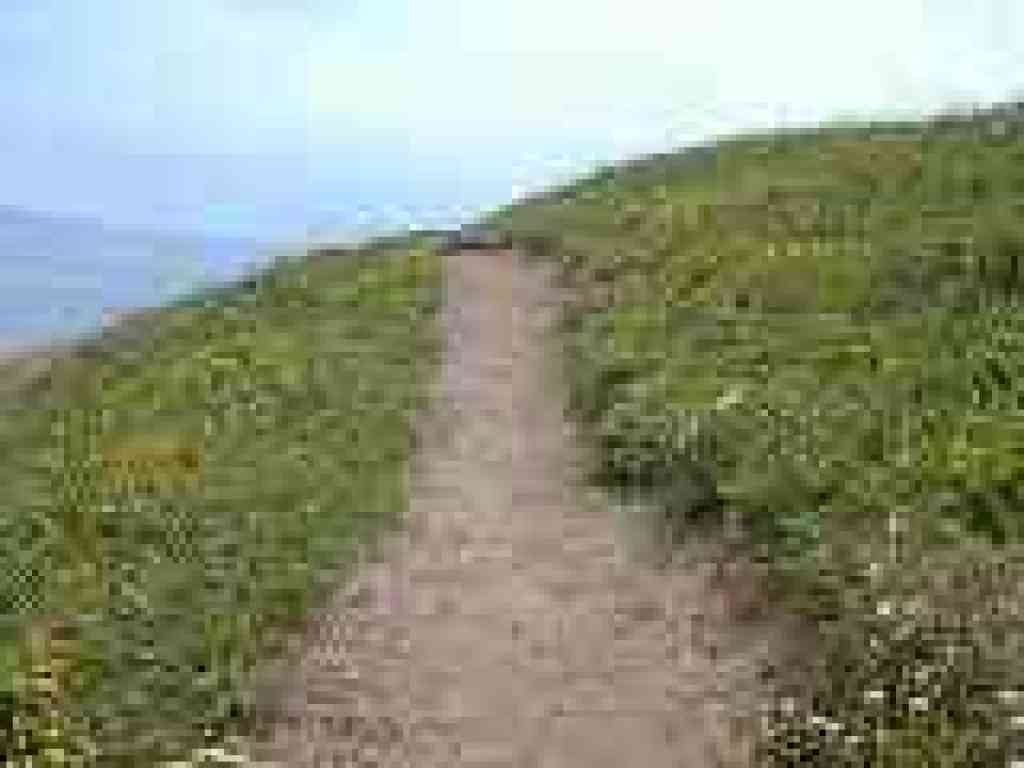 Flowers line the trail
