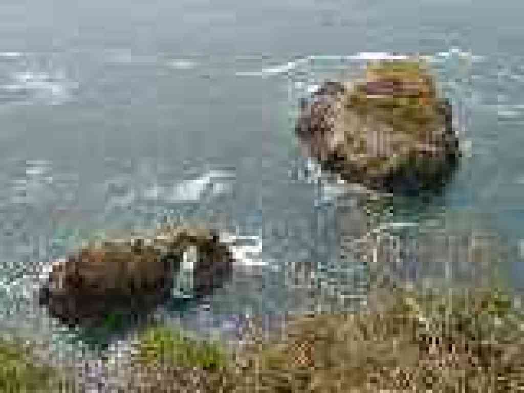 Rocks off the coast