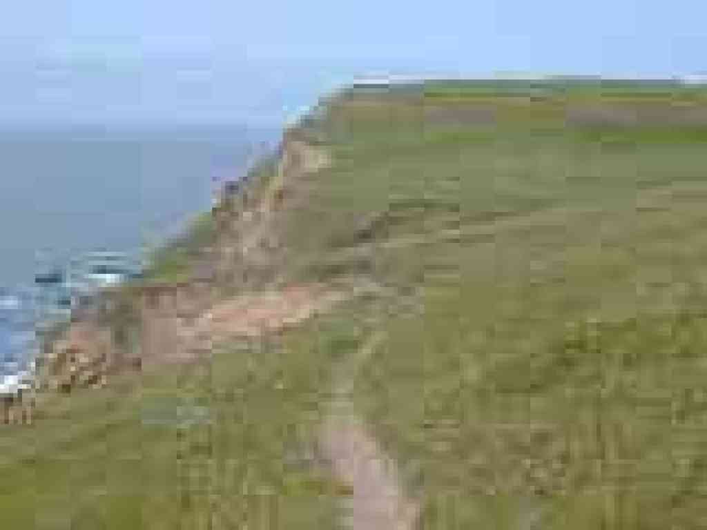 Path