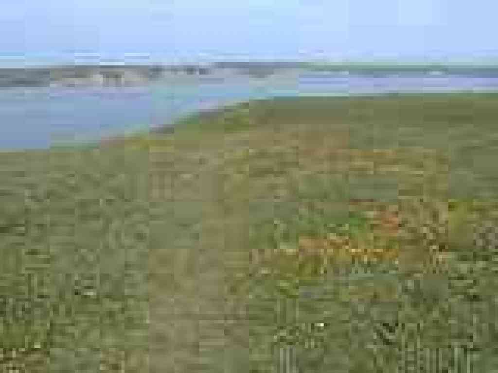 Path