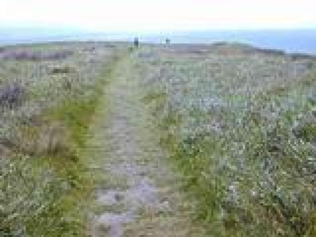 At the plateau