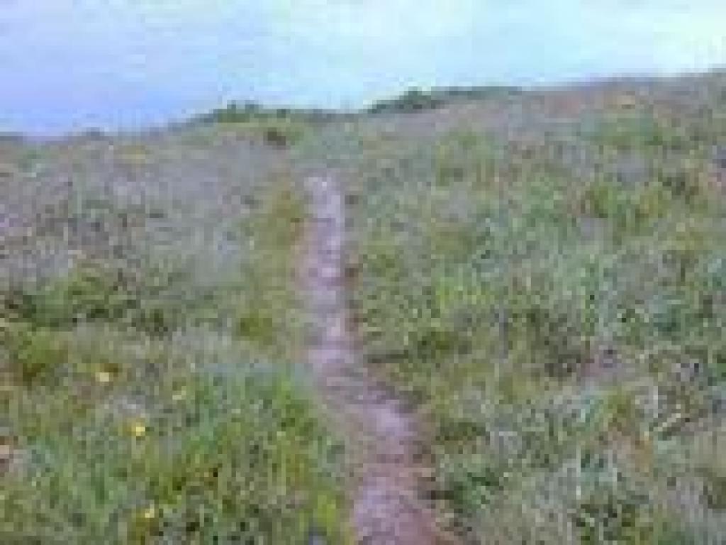 Side Trail
