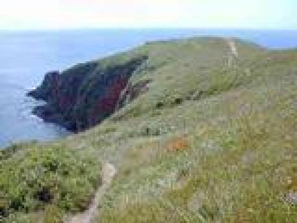 Path
