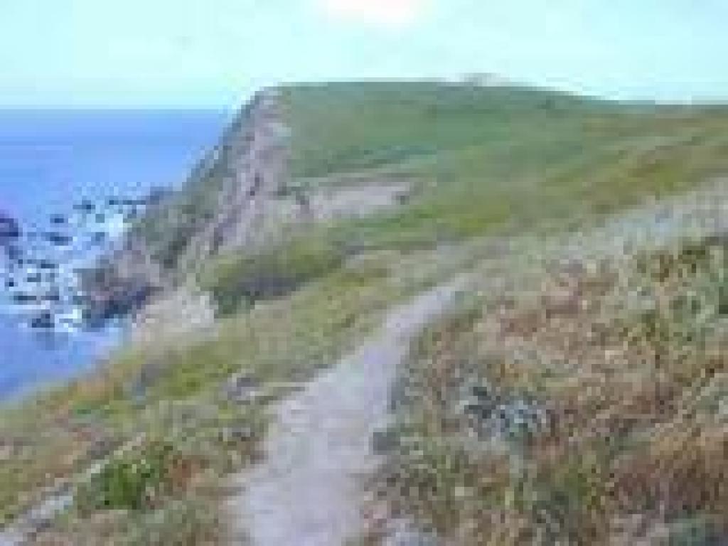 Path
