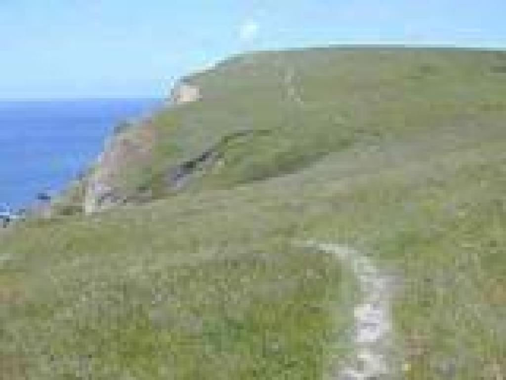 Path