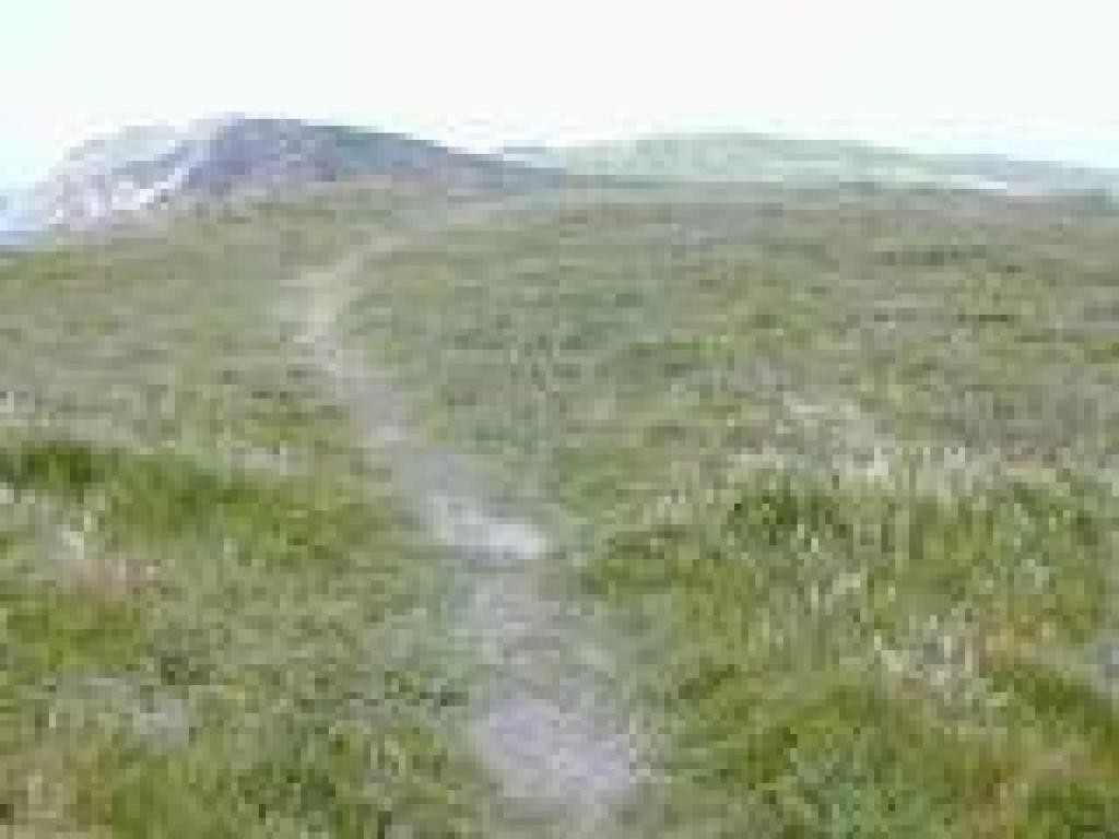 Near the cliff edge