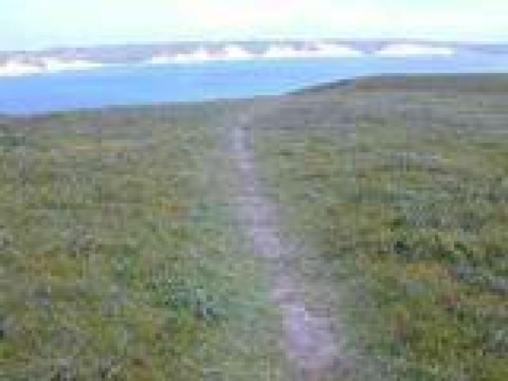 Returning to main trail