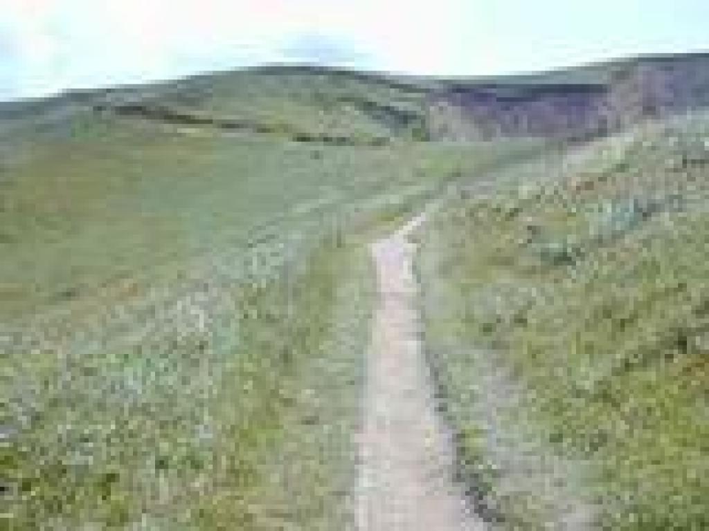 Chimney Rock Trail
