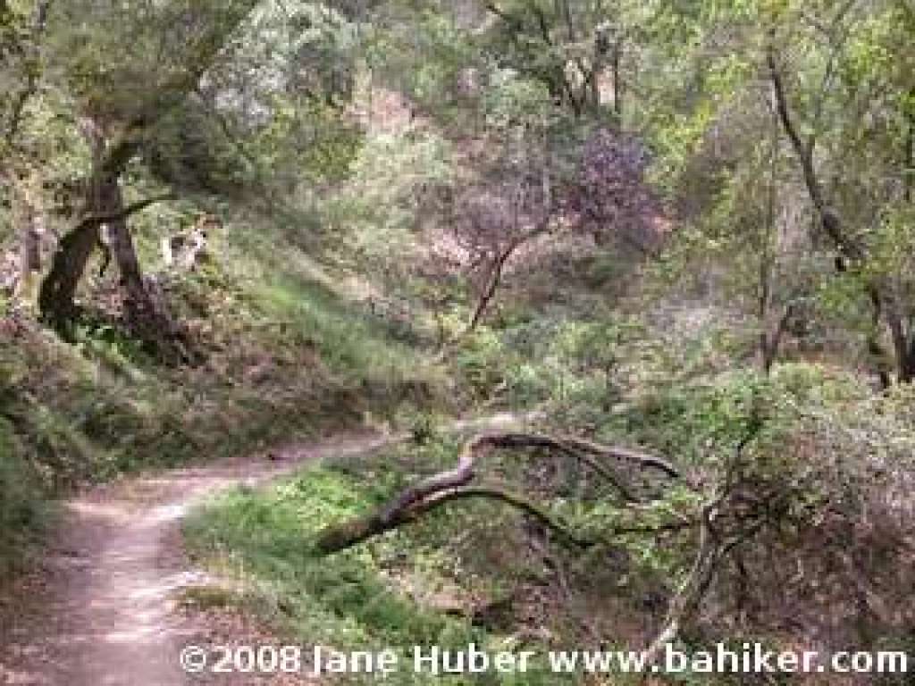 Bay View Trail