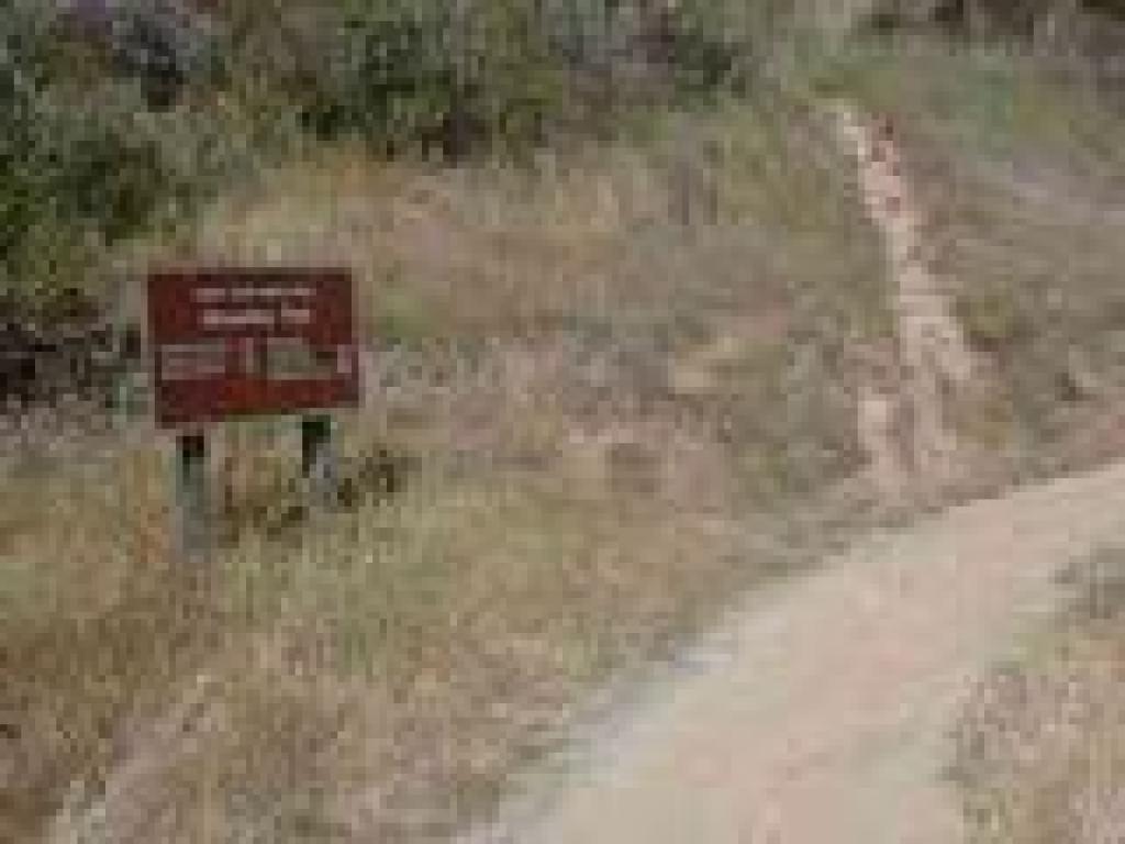 Shoreline Trail