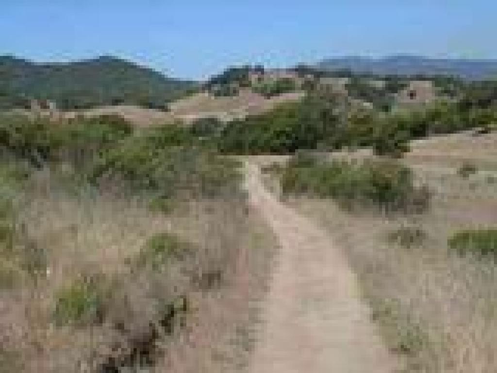 Through grassland