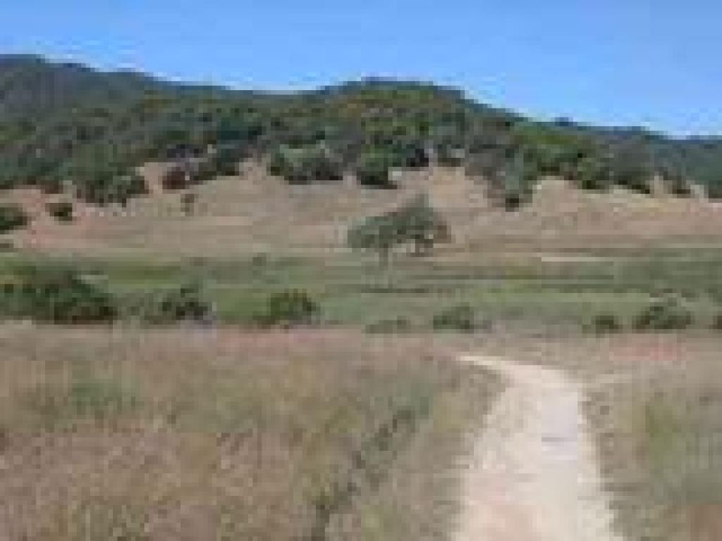 View to Miwok Meadows