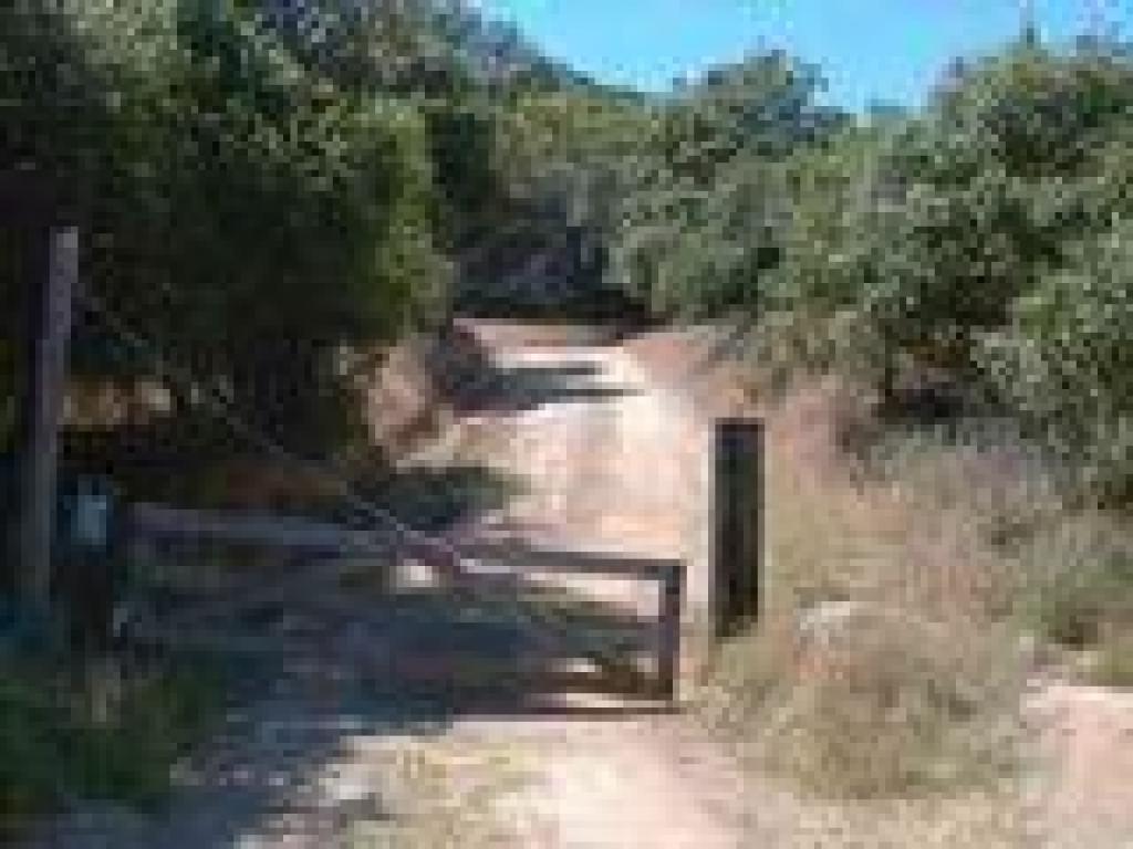 Miwok Fire Trail