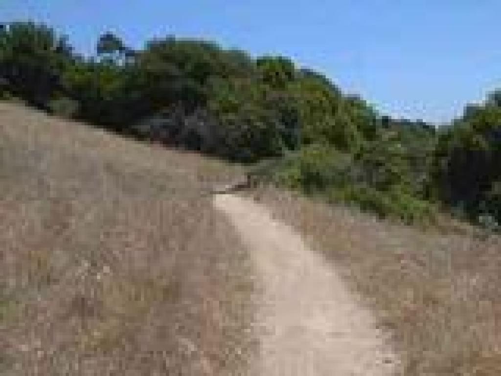 Oak Ridge Trail