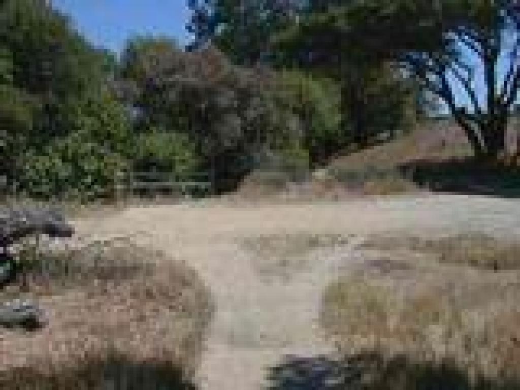Junction with McNears Fire Trail
