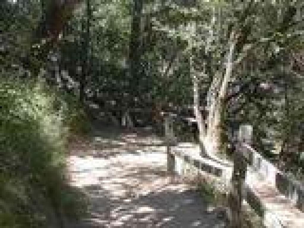 Switchback