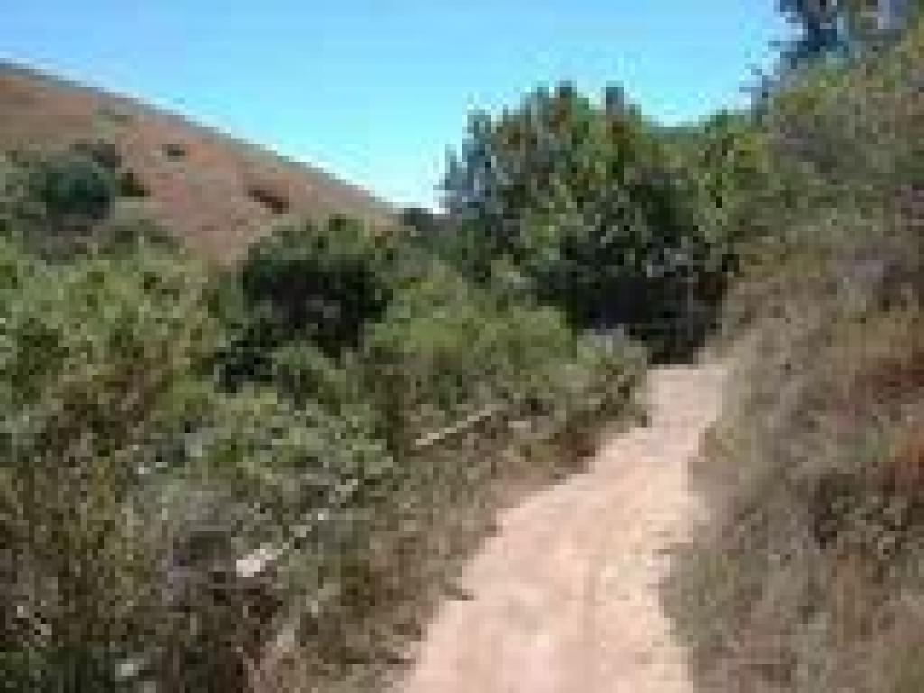 A sharp curve