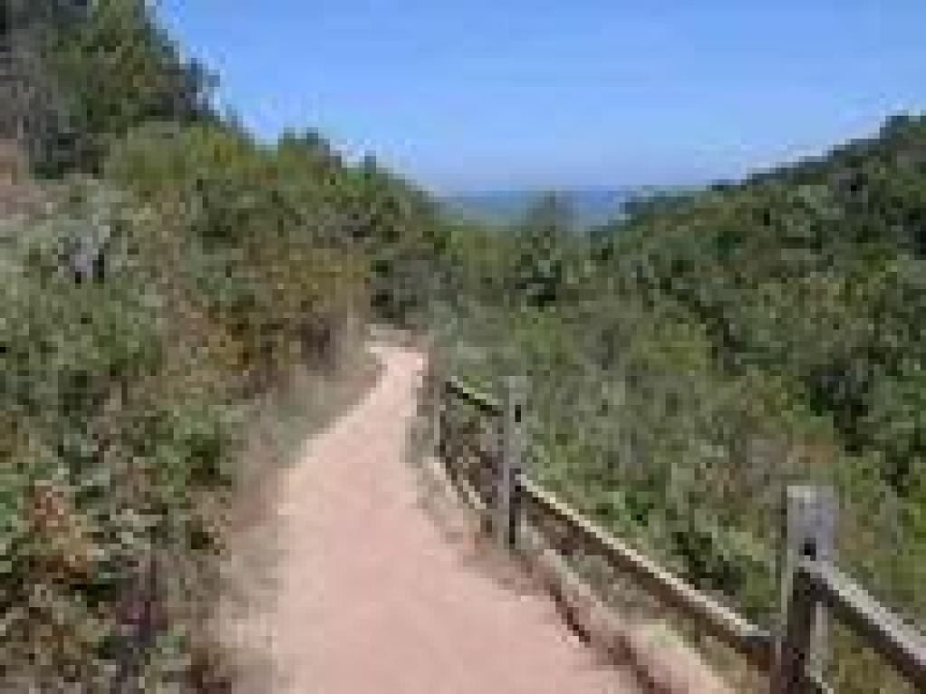 Oak Ridge Trail