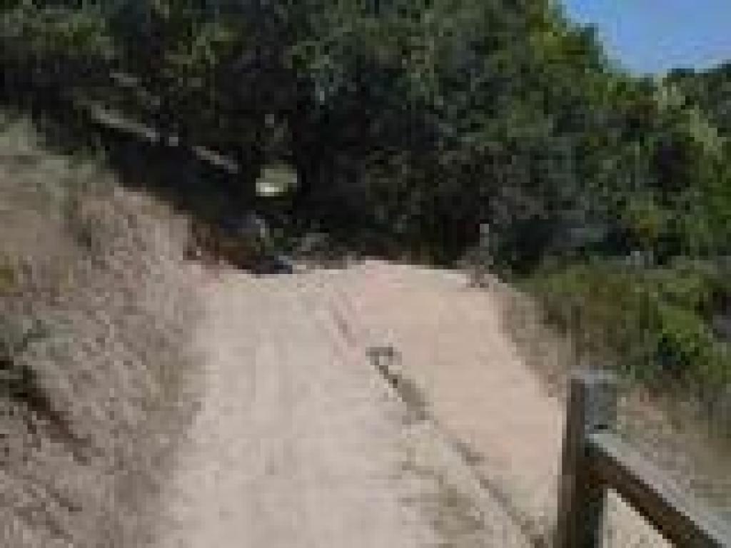 Junction with Peacock Gap Trail