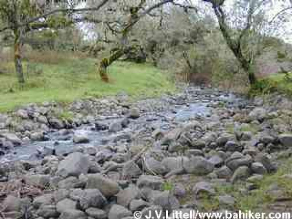 Crane Creek