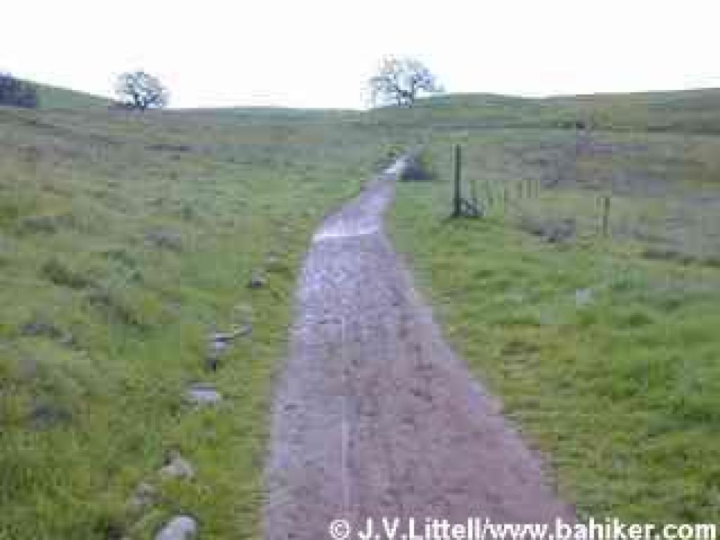 Returning toward the trailhead on Creek Trail