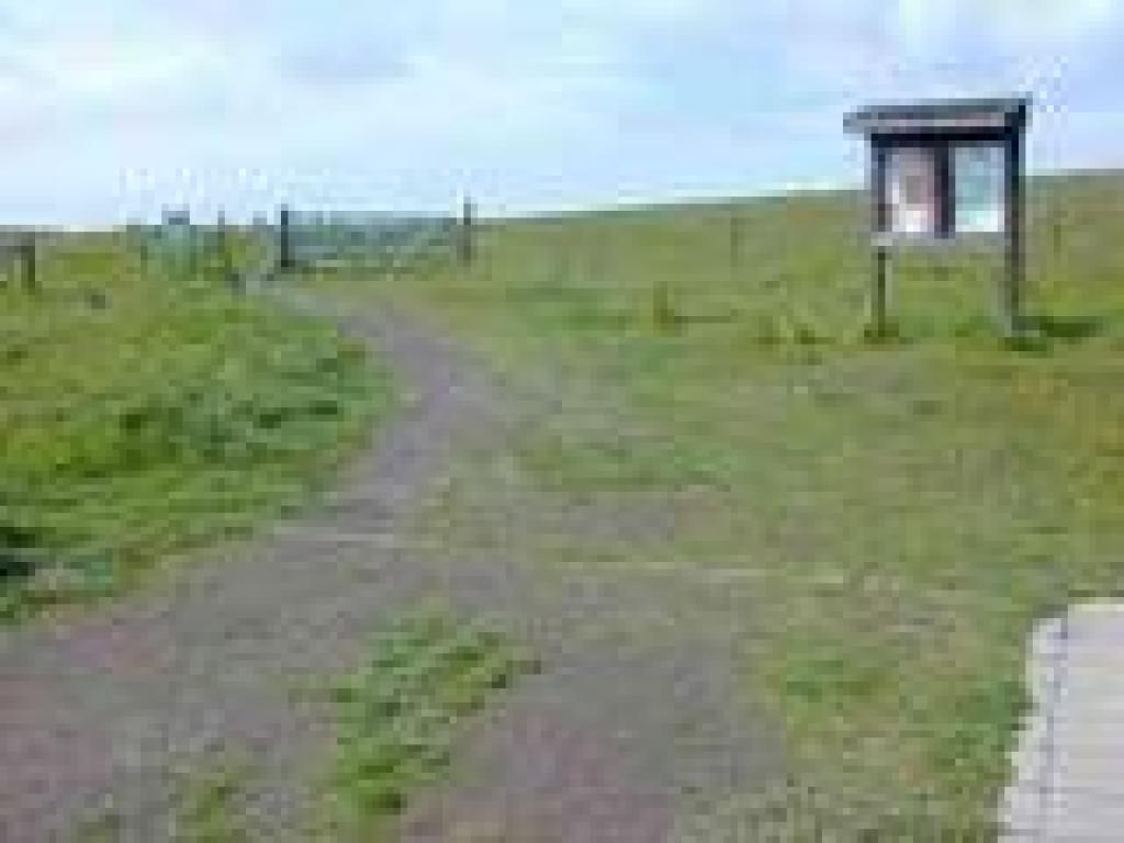 Trailhead
