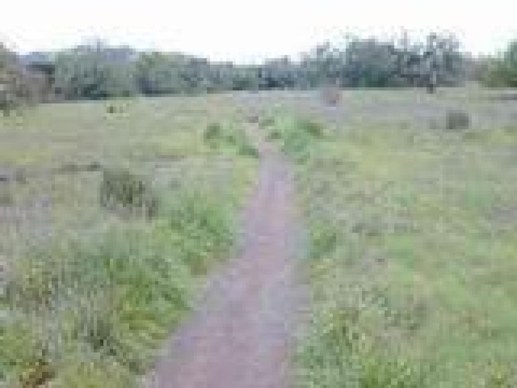 Creek Trail