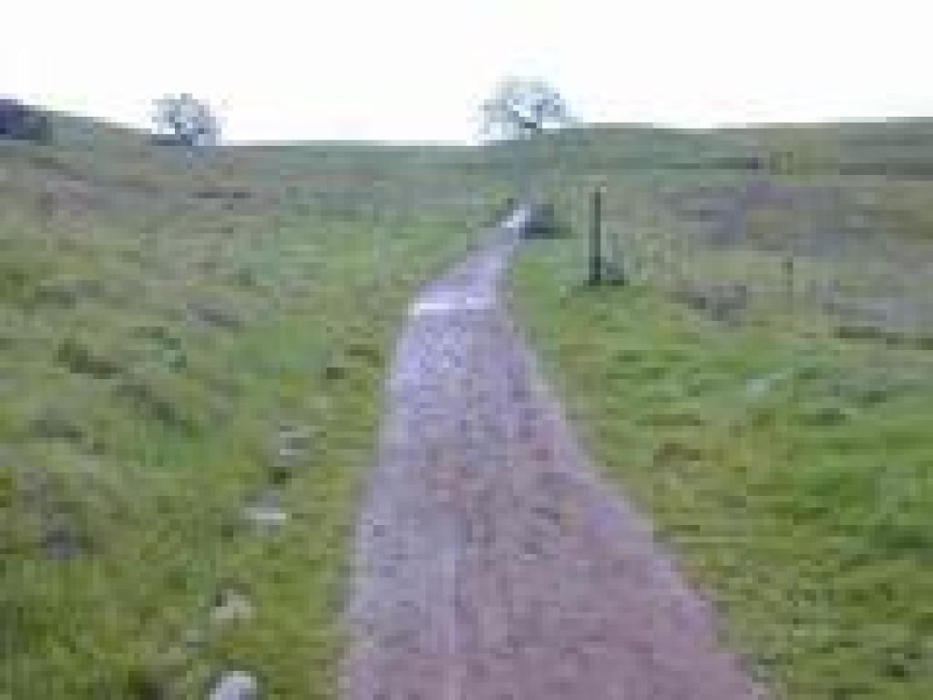 Creek Trail
