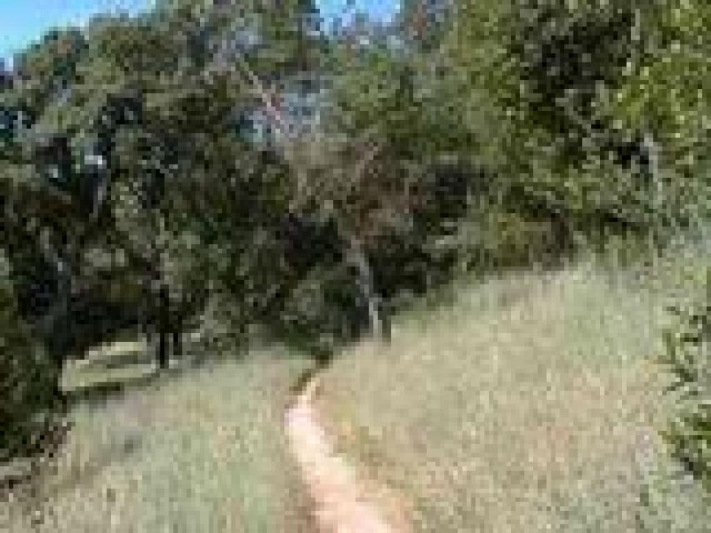 Deer Island Loop Trail