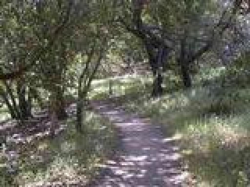 Approaching junction