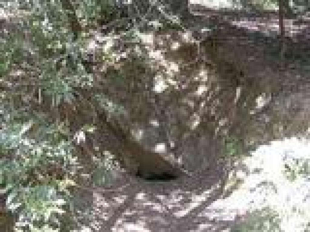 Little cave