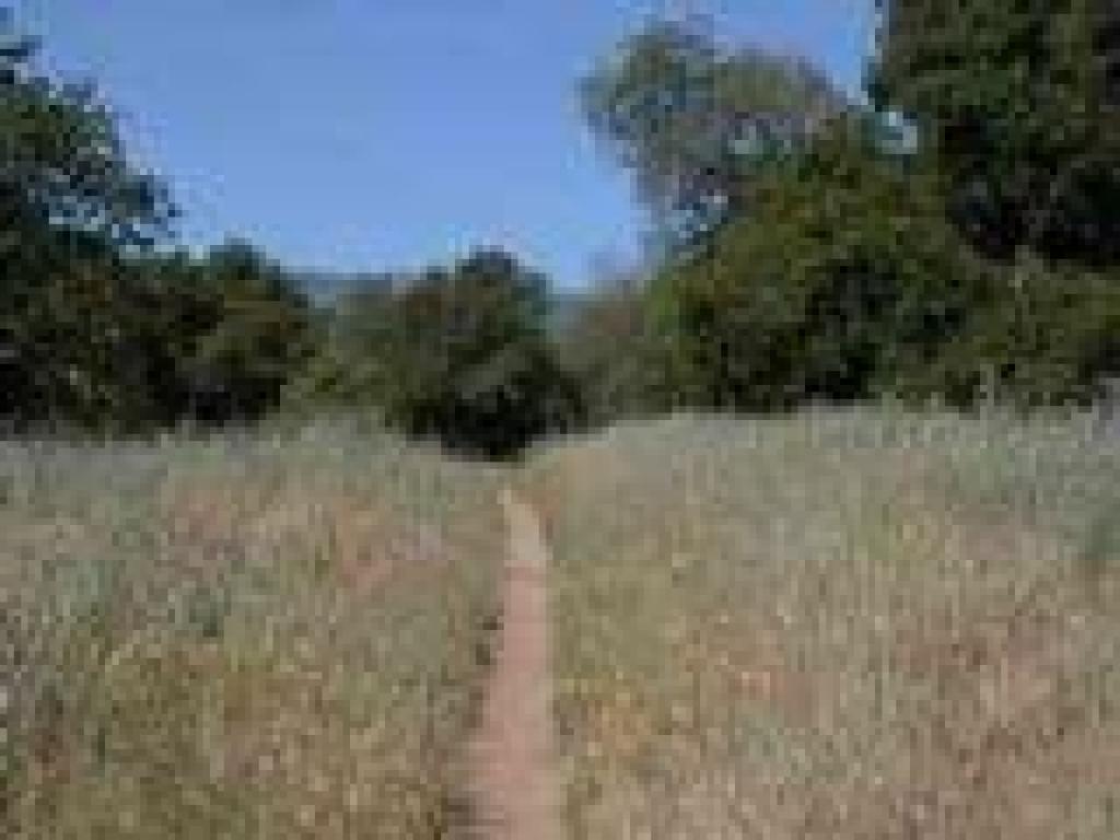 Deer Island Loop Trail