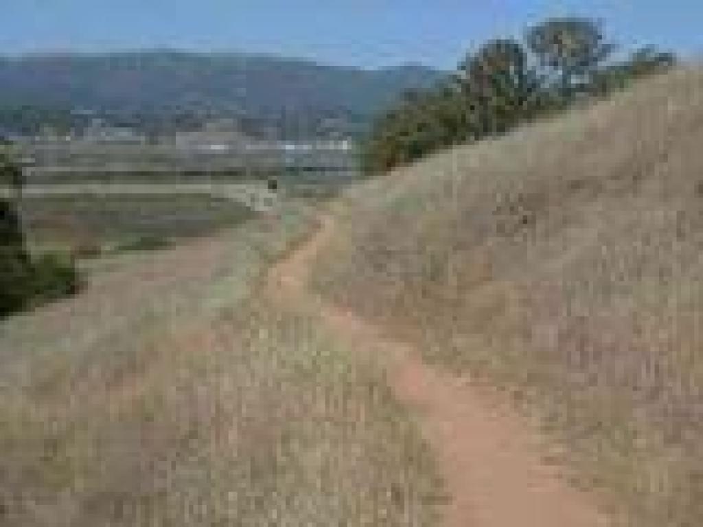 View west from the trail